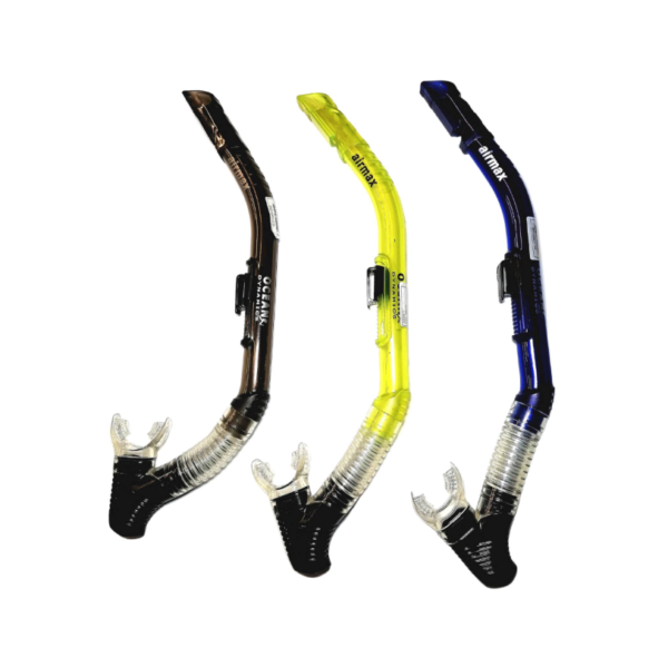 Ocean Dynamics Max Snorkel