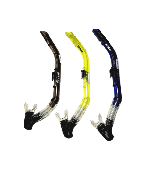 Ocean Dynamics Max Snorkel